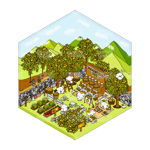 済州みかん農園（夏）